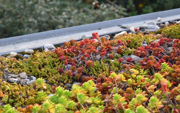 the cost of Dunball green roof installation