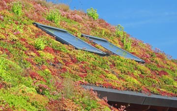 Dunball living roof systems